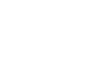 Berg & Androphy