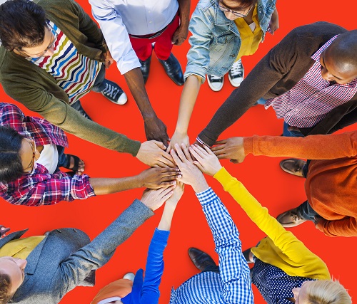 Sales and SEO Team collaborating