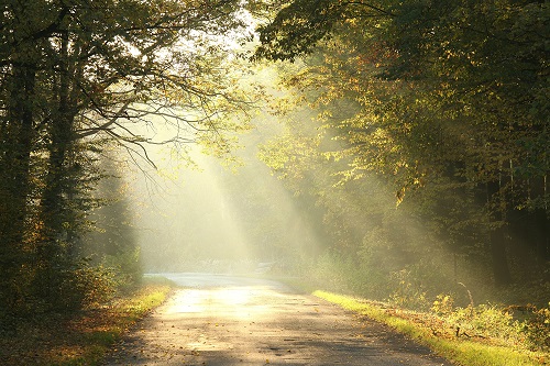 Path